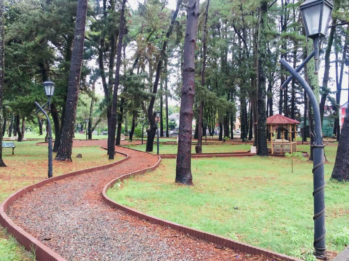 Magnolia Hotel Agmashenebeli Kobuleti Exterior foto